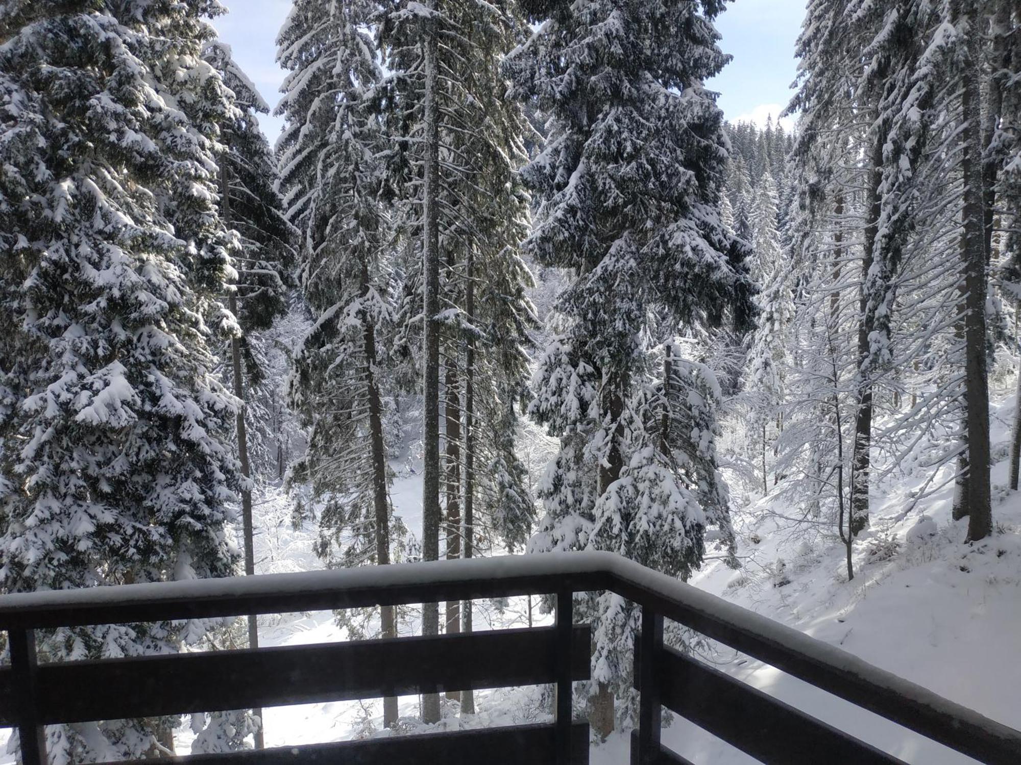 Ski & Holiday Apartments In Pamporovo Exteriér fotografie